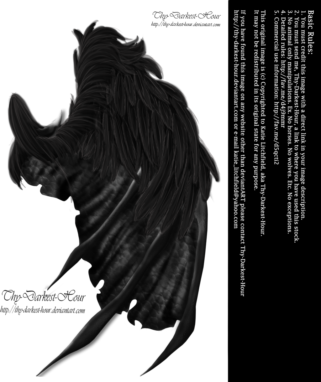 http://img01.deviantart.net/37e3/i/2014/142/6/e/feathered_demon_wings_02_by_thy_darkest_hour-d7jd592.png
