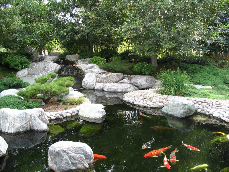 [Imagen: japanese_garden___koi_pond_by_ryuaku.jpg]