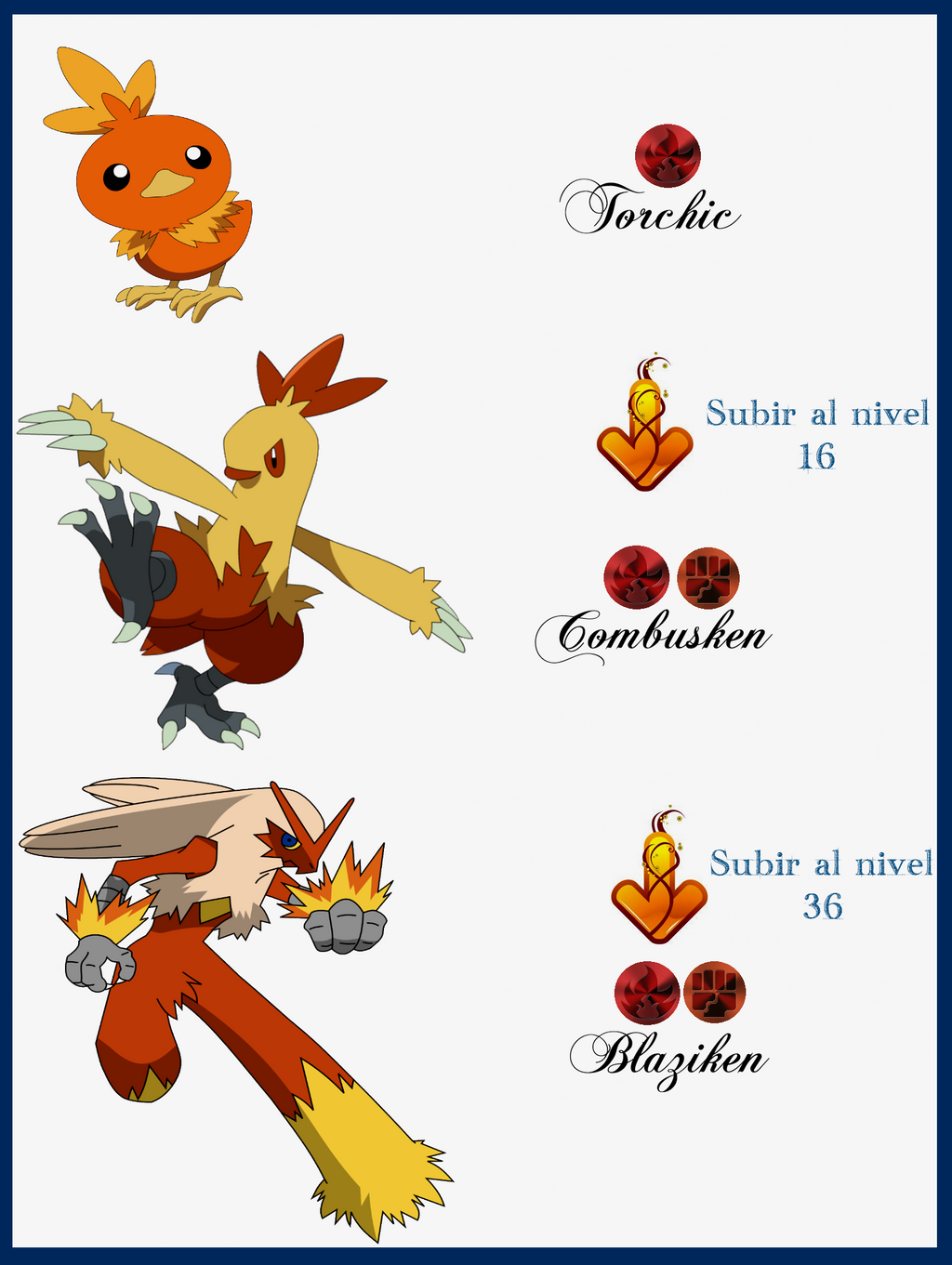 At what level does Torchic evolve?
