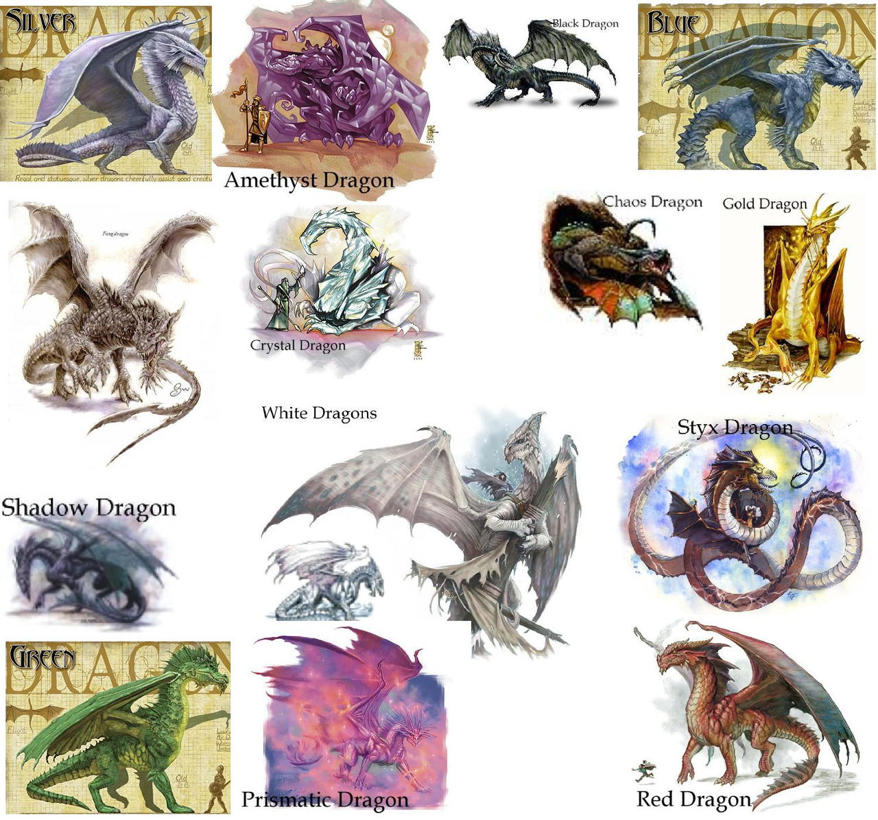 Classification dragon Exemples de Black-Dragon-Club