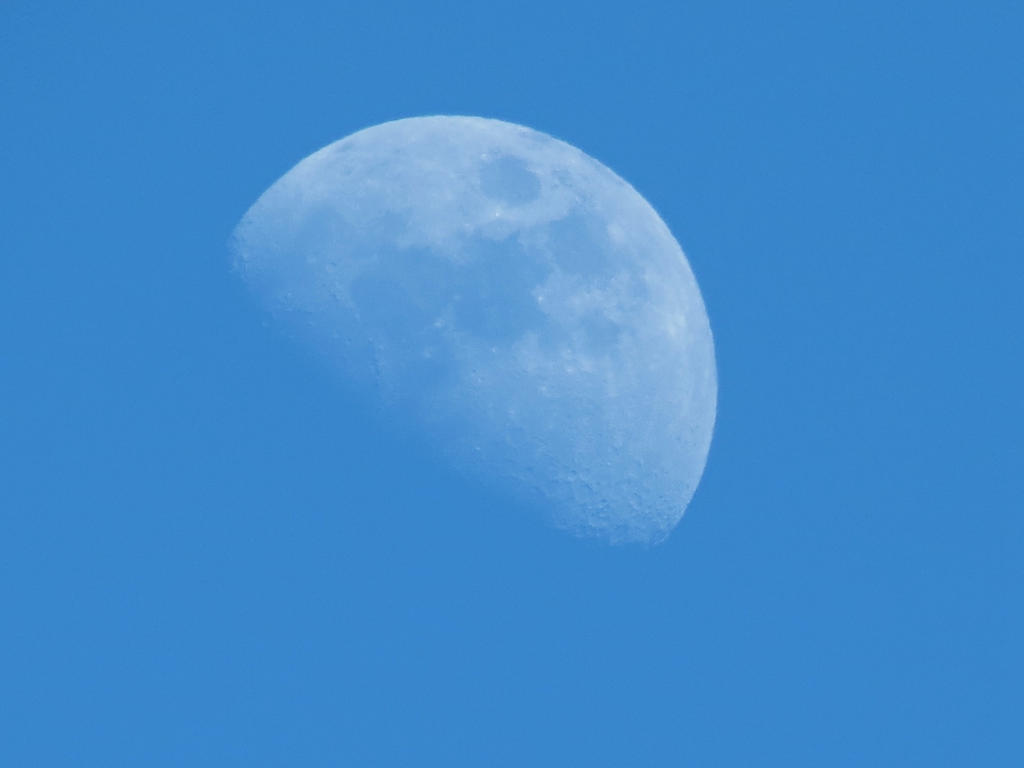 first_quarter_moon___daytime_by_michies_photographyy-d8no65e