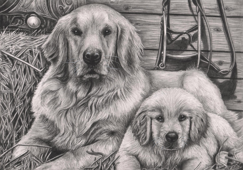 'Dog and Puppy' graphite drawing by PenTacularArtist on