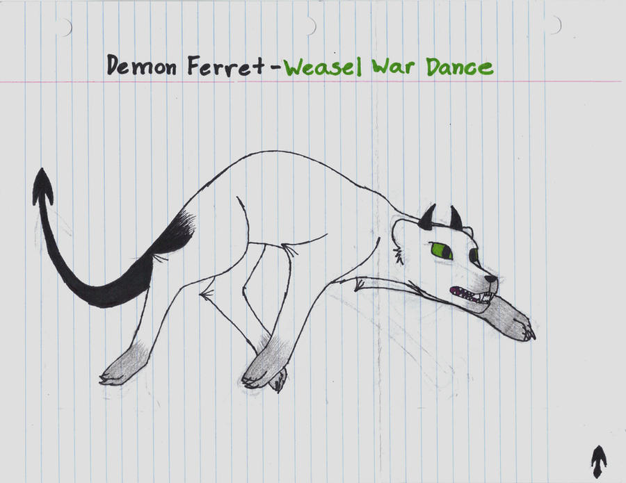What is the ferret war dance?