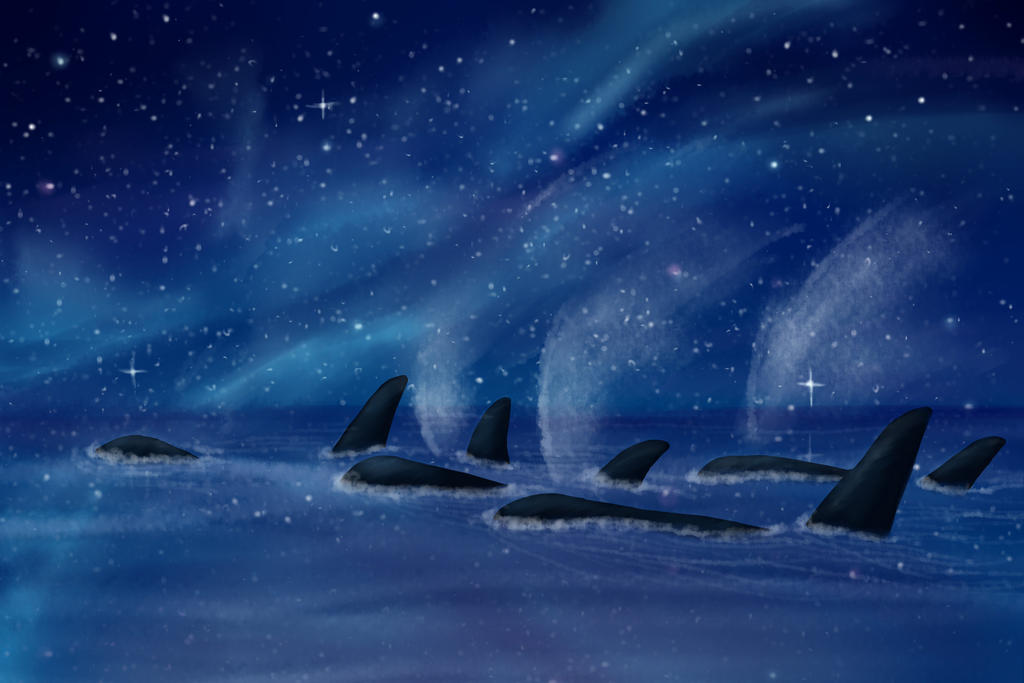 Image result for whales at night