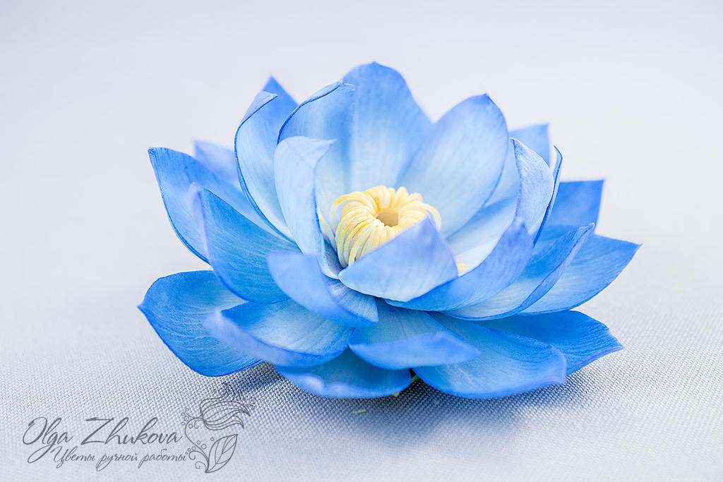 free blue lotus flower clip art - photo #25