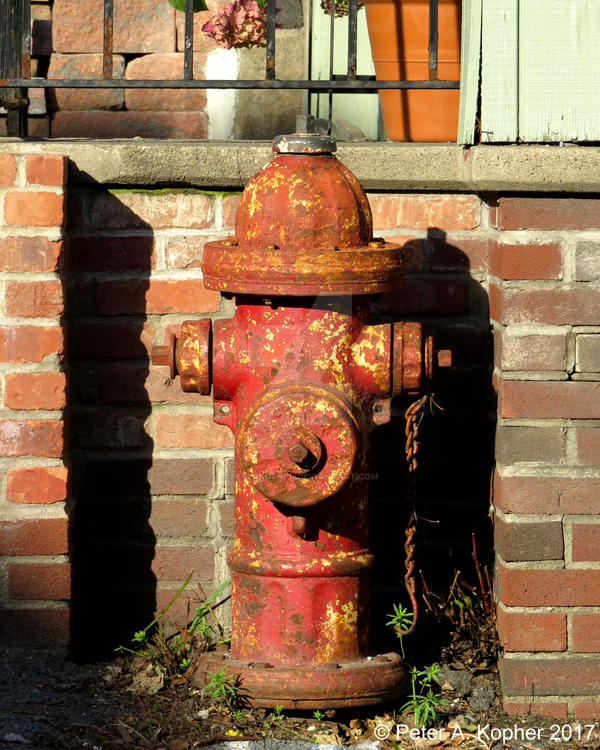 Late Afternoon Hydrant  by peterkopher